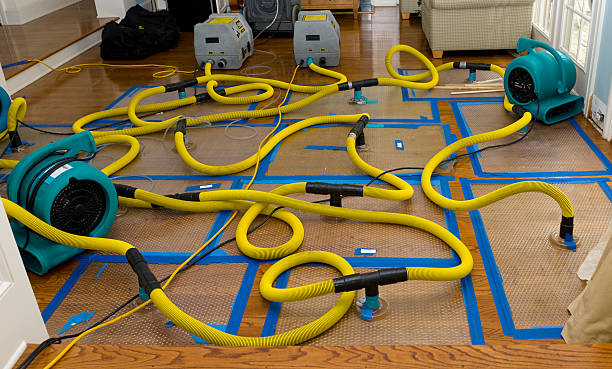 Professional Sewage Cleanup technician working in Goodrich, MI