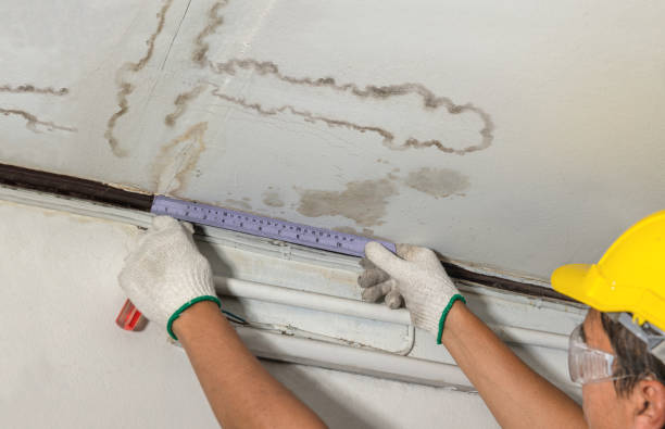 Affordable Water Damage Repair solutions in Goodrich, MI